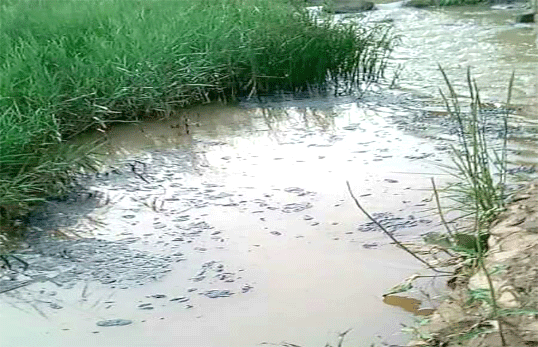 水中油類(lèi)污染